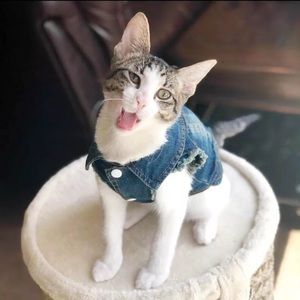 Cat or Dog Fashion Denim Jacket